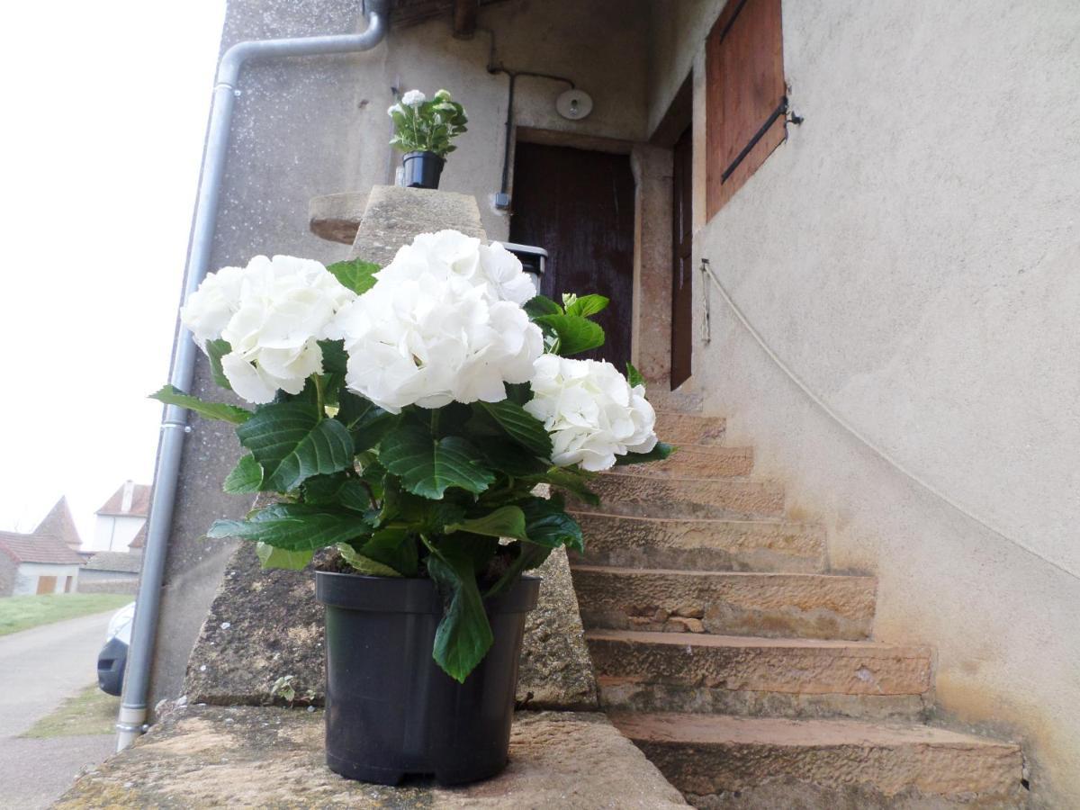 La Chapelle-sous-Brancion Les Marronniers Bed & Breakfast エクステリア 写真